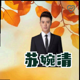 苏婉清
